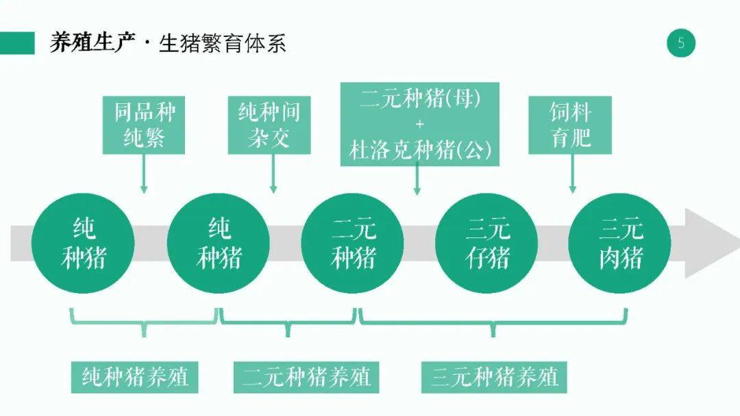 新奥天天免费资料公开,理论分析解析说明_交互版159.983