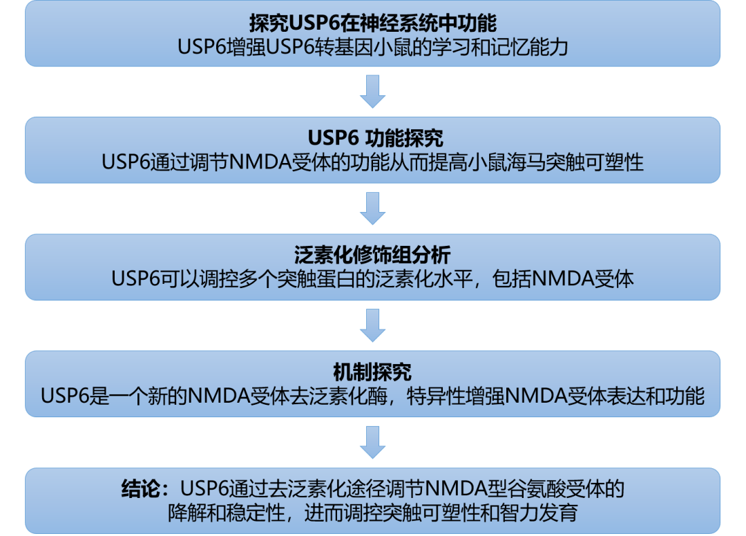 新澳门资料免费更新,系统化评估说明_The30.90