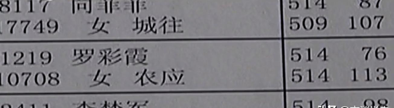 2004澳门天天开好彩大全,全面执行数据设计_Z99.514