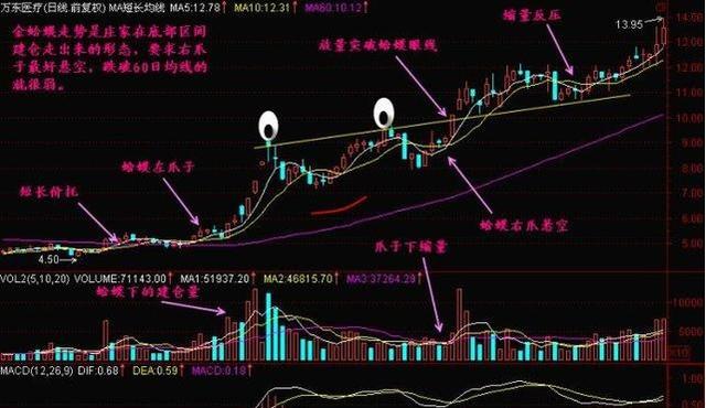 澳门今晚必开一肖一特,稳定性方案解析_顶级版17.818