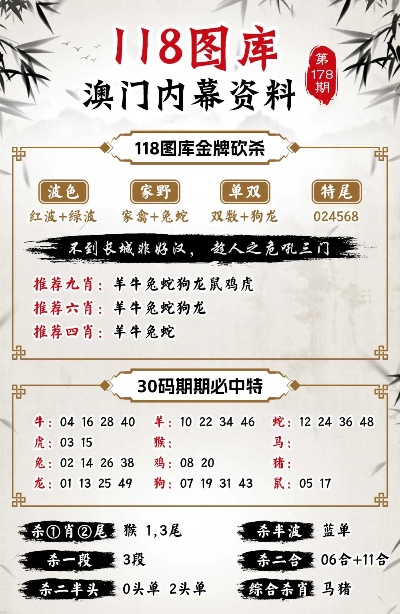 新澳门王中王100%期期中,全面数据分析方案_FT41.53