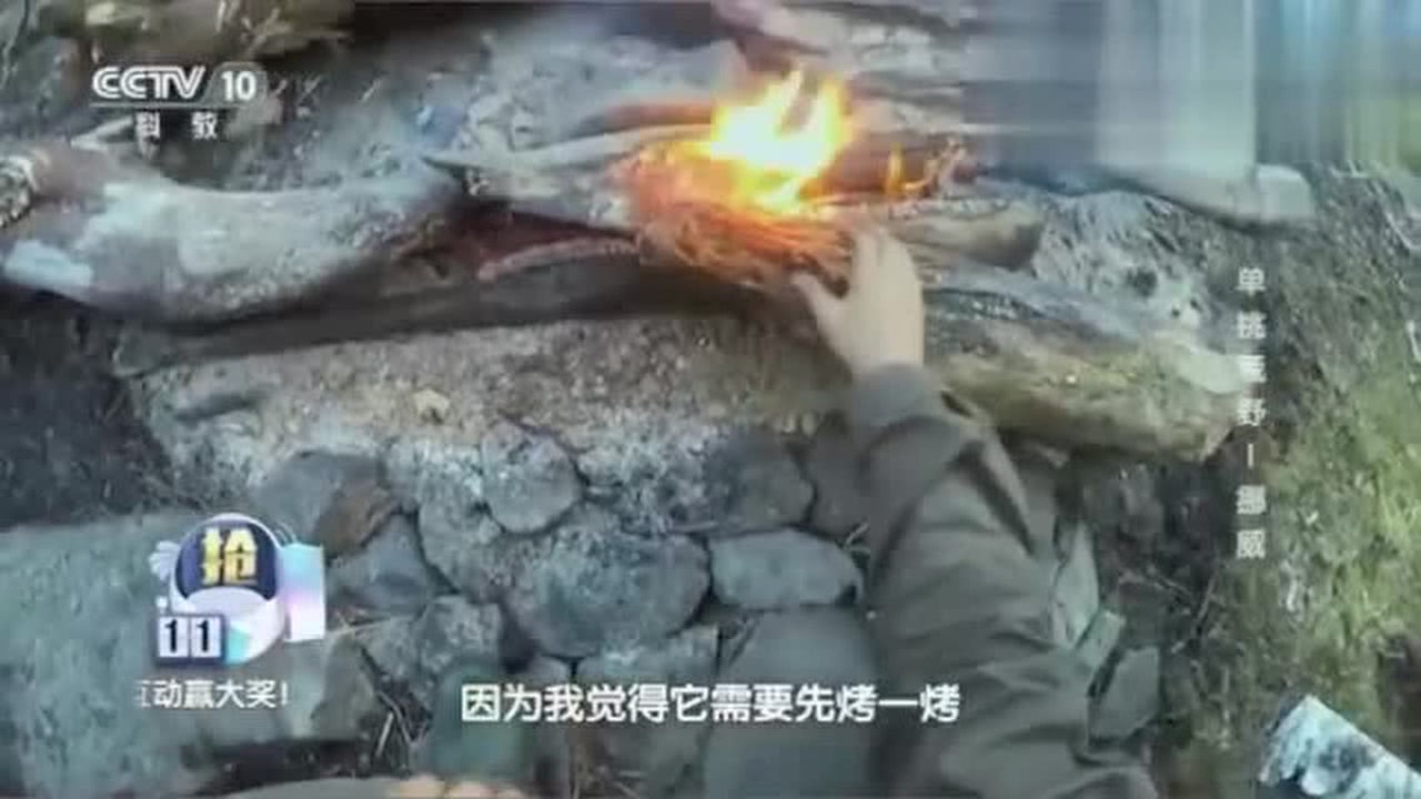 大侦探之单挑荒野，探险与智慧的碰撞