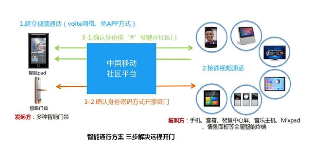 新奥门免费资料大全使用注意事项,数据驱动方案实施_限量款80.395