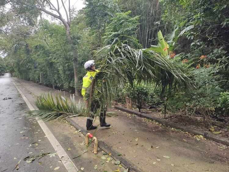 福建台风纳沙最新动态解析与预测