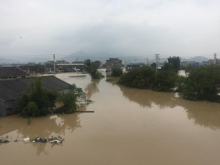 平阳电视台在线直播，地方媒体的新潮流引领者