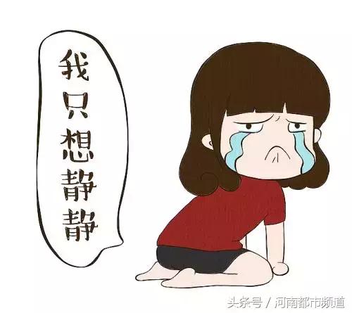 杭州莱女士事件最新进展揭秘，探寻事件真相与发展动态