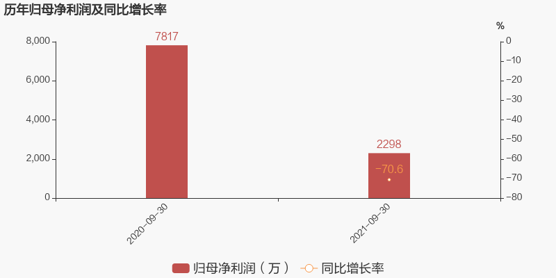 东贝B股最新消息全面解析与动态更新。