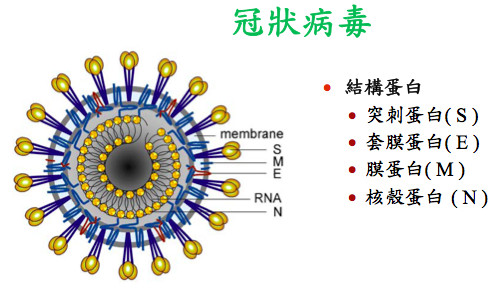 全球薪型冠状病毒最新感染人数及应对策略，全球疫情现状分析报告