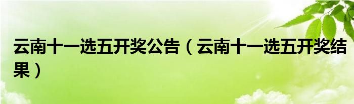 云南十一选五最新开奖结果汇总