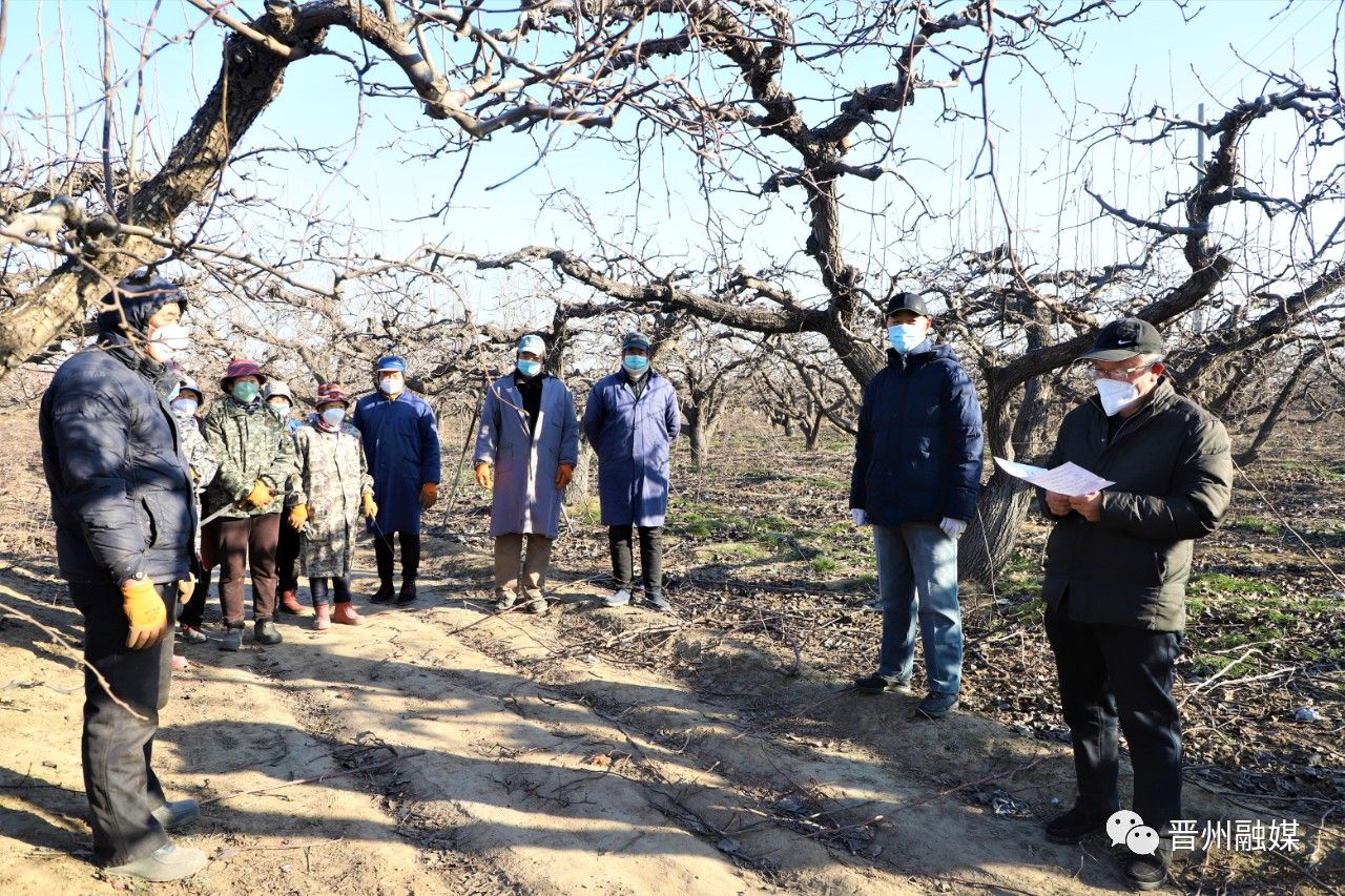 晋州市农业农村局最新动态报道