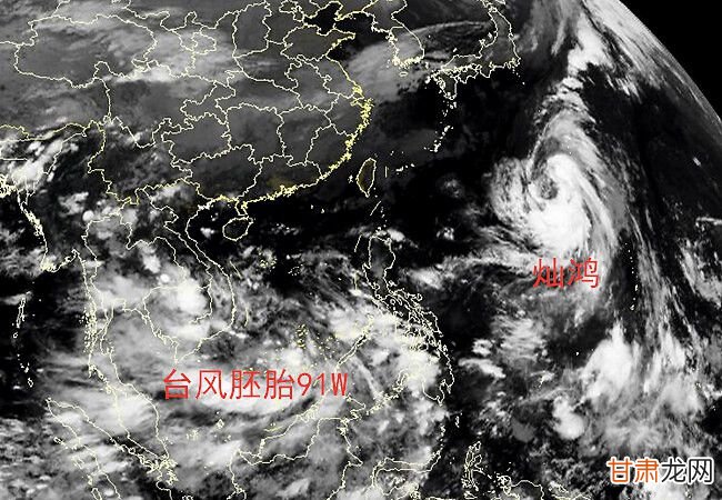 关于九号台风高的最新动态与动向全面报告